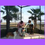 Playing In Water 2.jpg